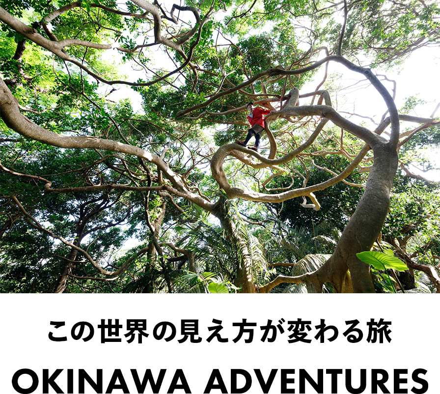 アドベンチャーツーリズム事業　OKINAWA ADVENTURES